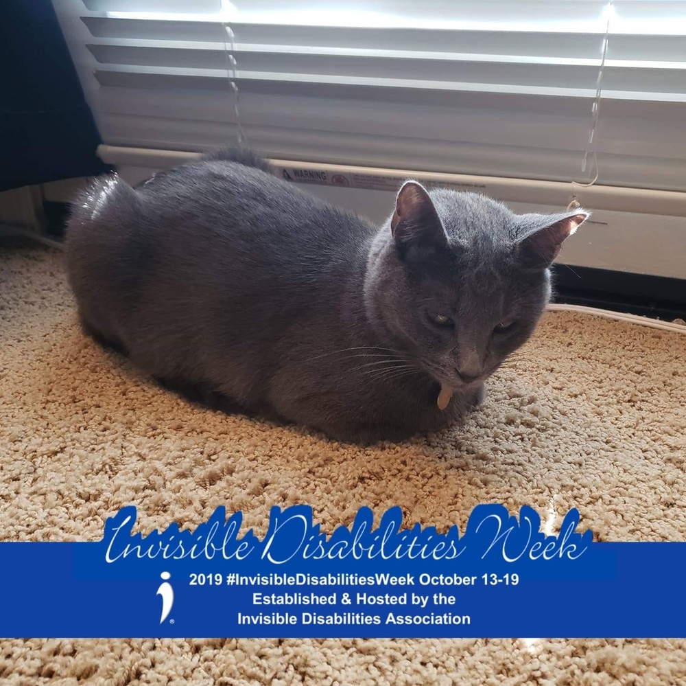 Meet your Posher, Kay